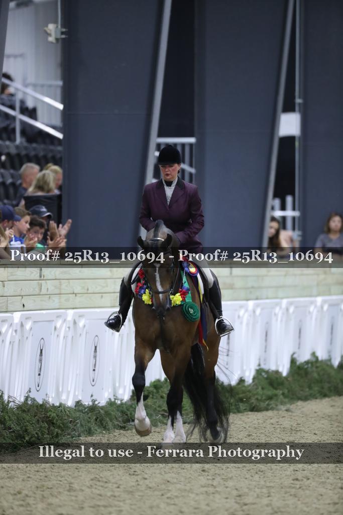Proof Number 25R13_10694