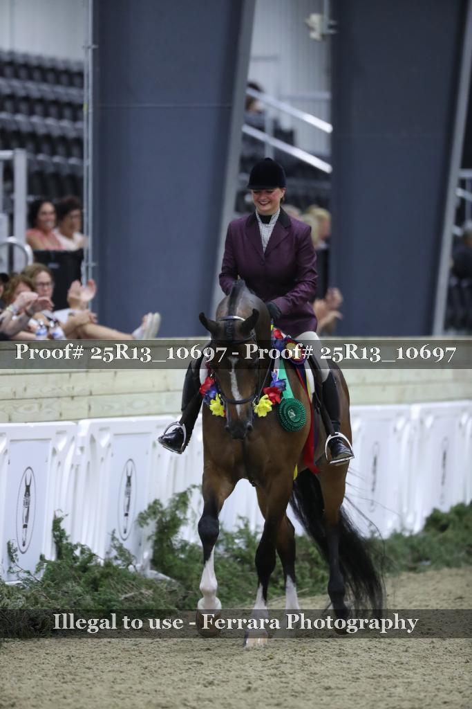 Proof Number 25R13_10697