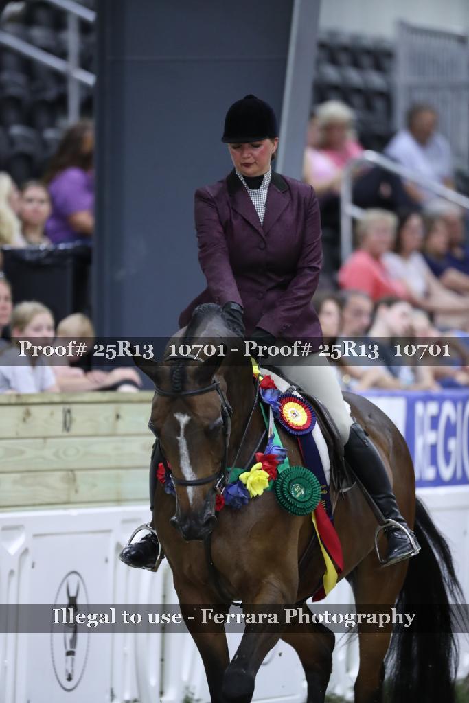 Proof Number 25R13_10701