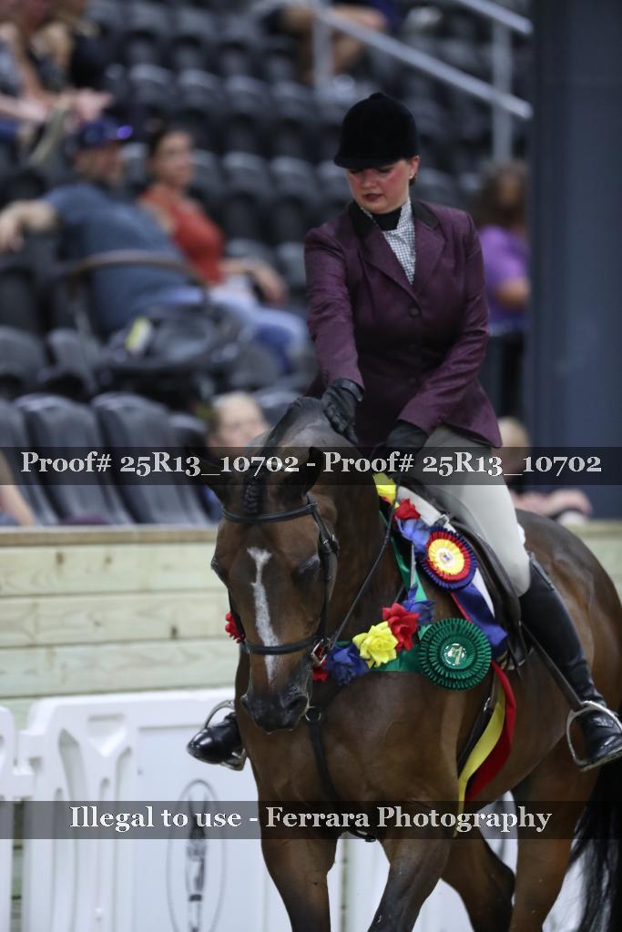 Proof Number 25R13_10702