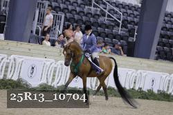 25R13_10704 thumbnail