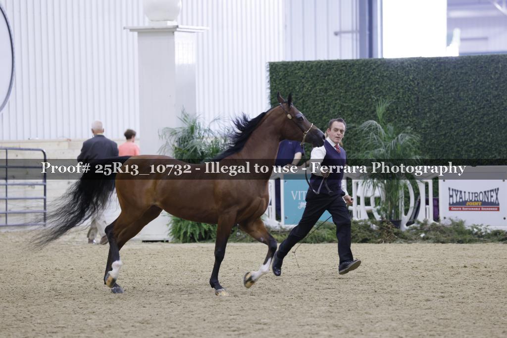 Proof Number 25R13_10732