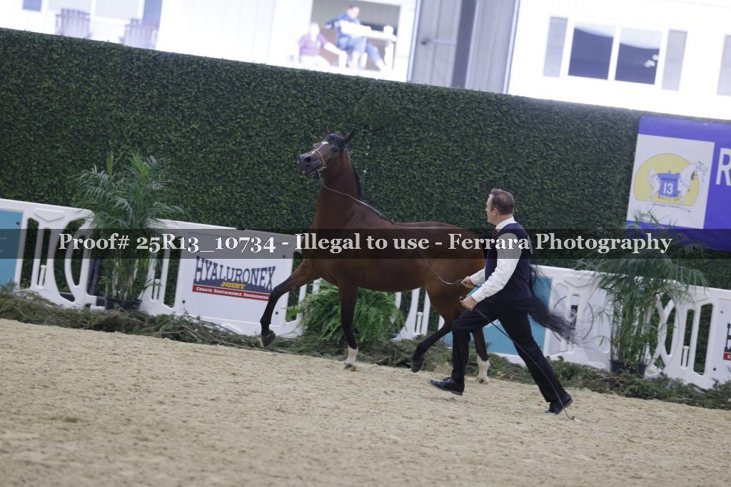 Proof Number 25R13_10734
