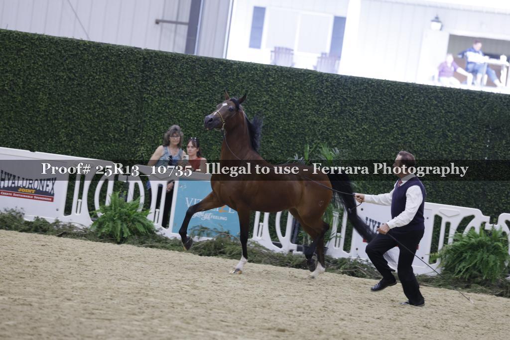 Proof Number 25R13_10735