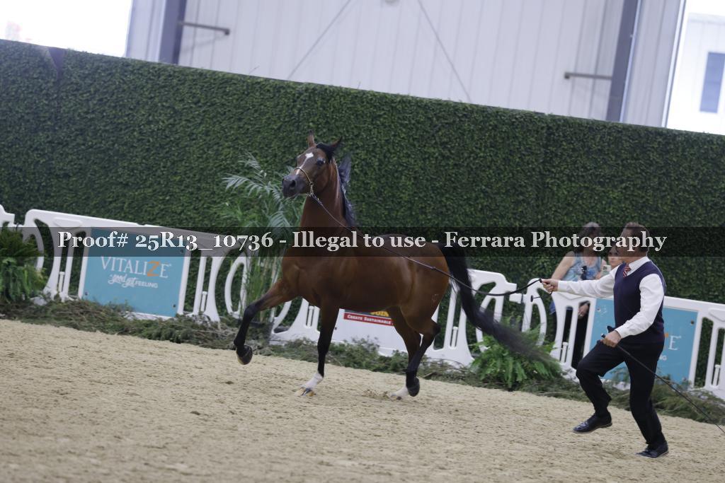 Proof Number 25R13_10736
