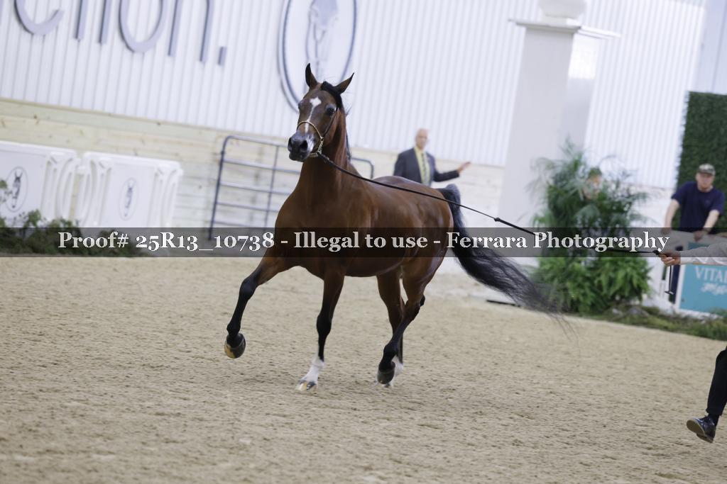 Proof Number 25R13_10738