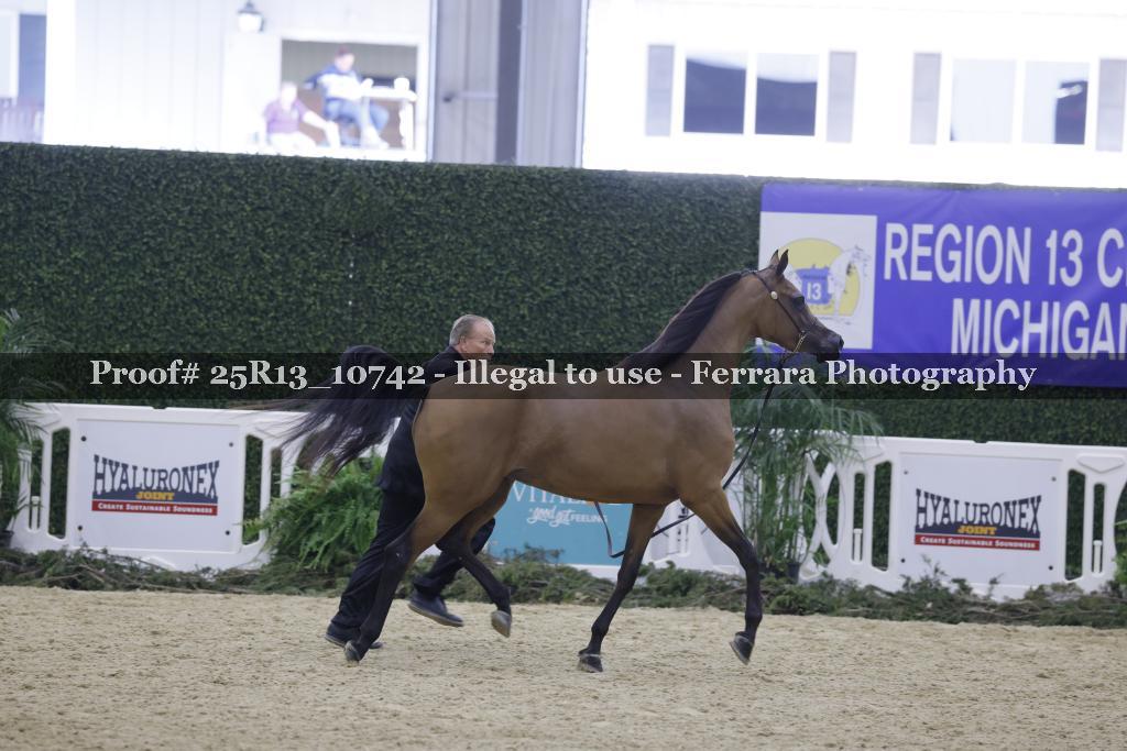Proof Number 25R13_10742