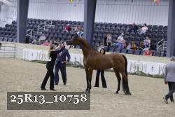 25R13_10758 thumbnail