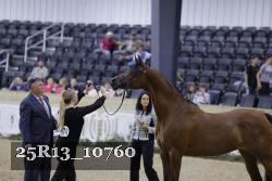 25R13_10760 thumbnail