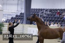 25R13_10761 thumbnail