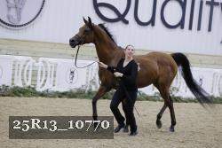 25R13_10770 thumbnail