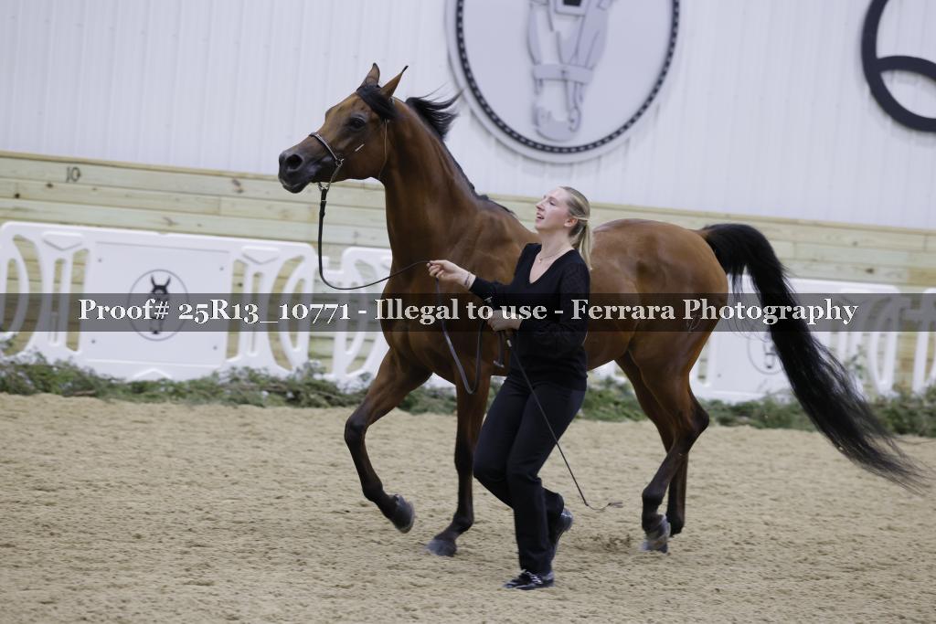 Proof Number 25R13_10771