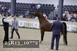 25R13_10772 thumbnail