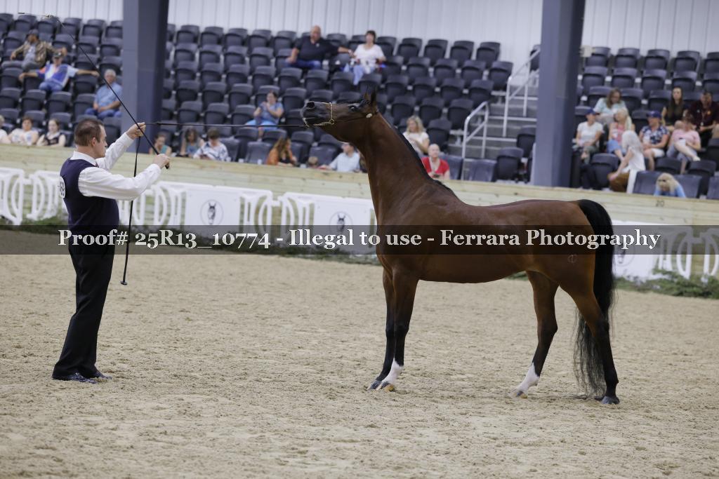 Proof Number 25R13_10774