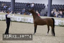 25R13_10774 thumbnail