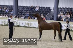25R13_10775 thumbnail