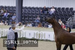 25R13_10776 thumbnail