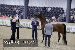 25R13_10777 thumbnail