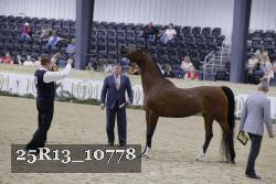 25R13_10778 thumbnail