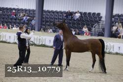 25R13_10779 thumbnail