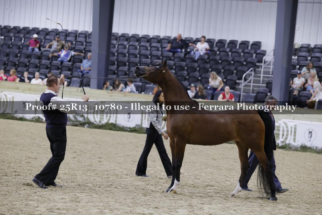 Proof Number 25R13_10780