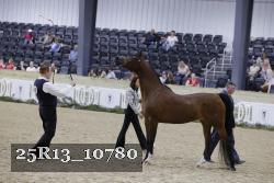 25R13_10780 thumbnail