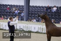 25R13_10781 thumbnail