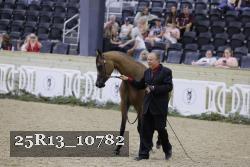 25R13_10782 thumbnail