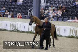 25R13_10783 thumbnail