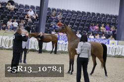 25R13_10784 thumbnail