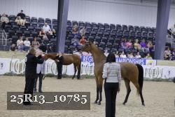 25R13_10785 thumbnail