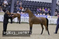 25R13_10787 thumbnail