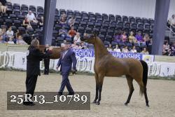 25R13_10789 thumbnail