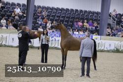 25R13_10790 thumbnail