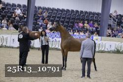 25R13_10791 thumbnail