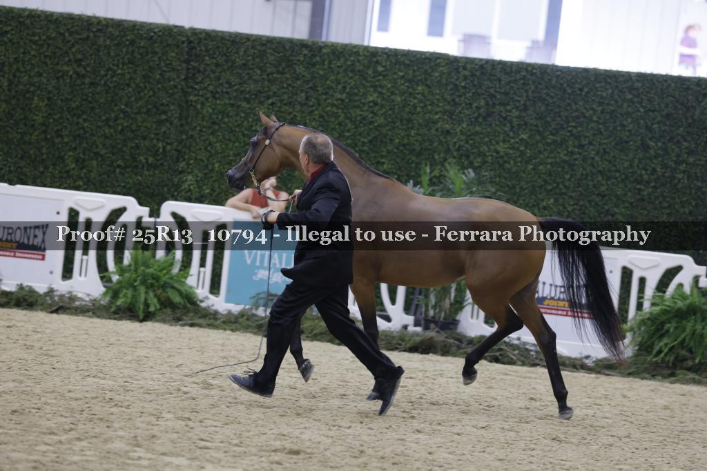Proof Number 25R13_10794