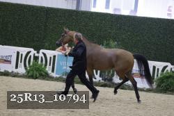 25R13_10794 thumbnail