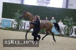 25R13_10795 thumbnail