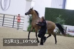 25R13_10796 thumbnail