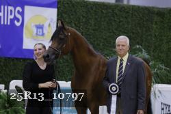 25R13_10797 thumbnail