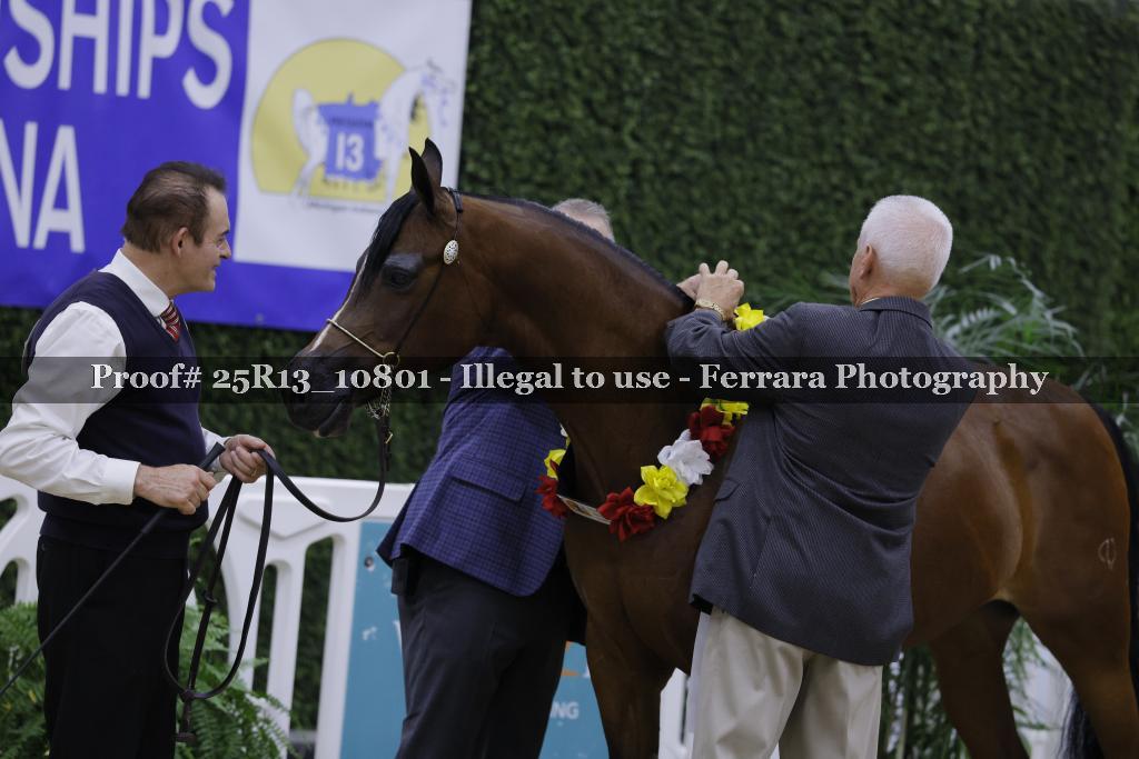 Proof Number 25R13_10801