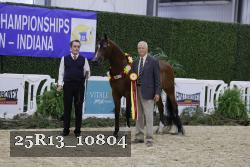 25R13_10804 thumbnail