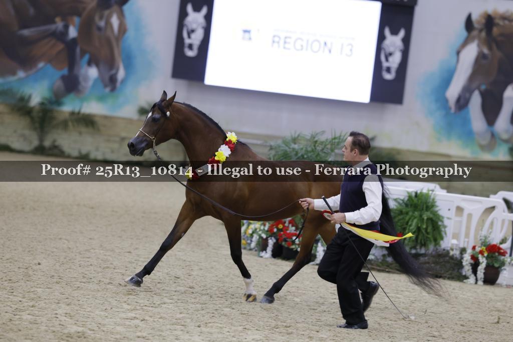 Proof Number 25R13_10814