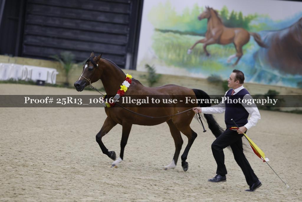 Proof Number 25R13_10816
