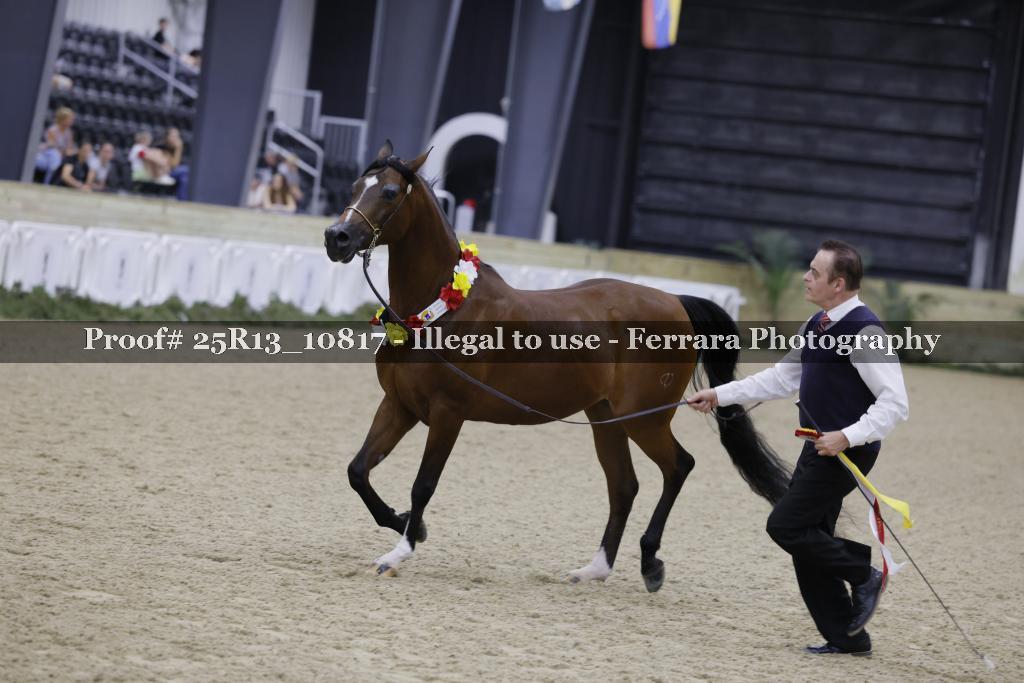 Proof Number 25R13_10817