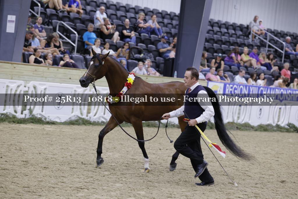 Proof Number 25R13_10818