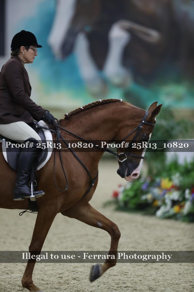 Proof Number 25R13_10820