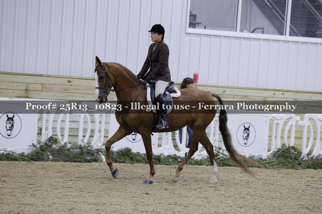 Proof Number 25R13_10823