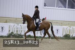25R13_10823 thumbnail