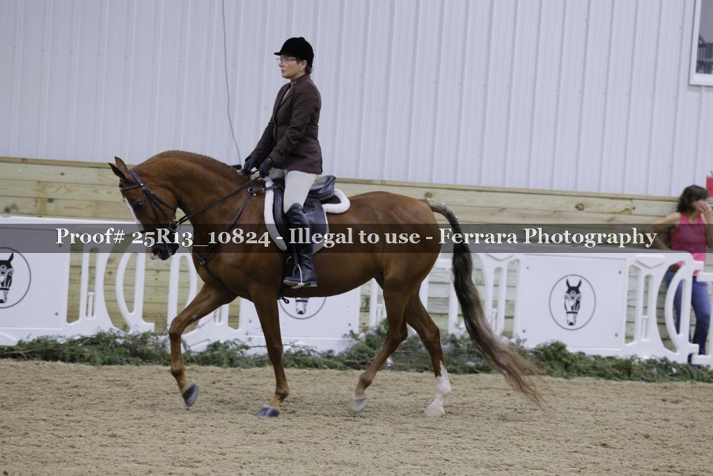 Proof Number 25R13_10824